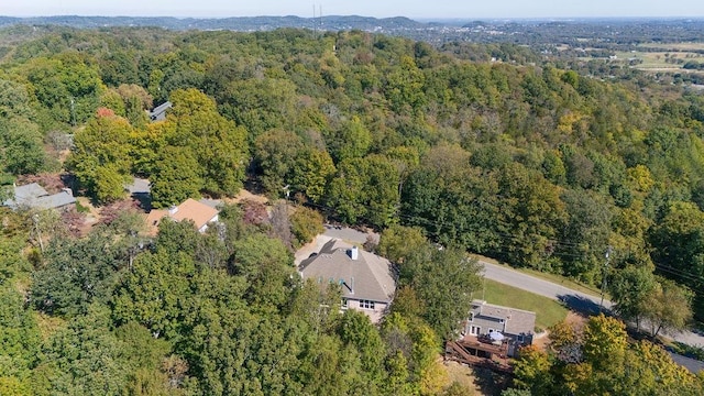 1411 Robert E Lee Ln, Brentwood, TN 37027 - photo 62