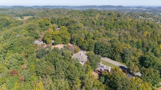 1411 Robert E Lee Ln, Brentwood, TN 37027 - photo 54