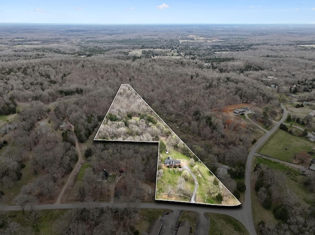 drone / aerial view