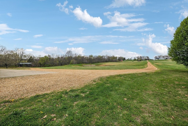 view of home's community with a yard