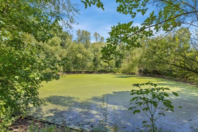 1500 Old Gallatin Rd, Portland, TN 37148 - photo 3