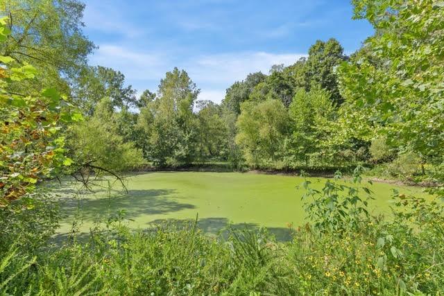 1500 Old Gallatin Rd, Portland, TN 37148 - photo 9