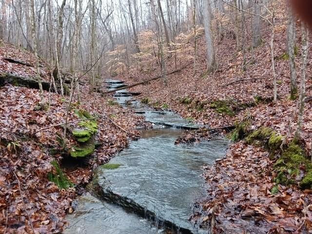 0 Brush Creek Rd, Fairview, TN 37062 - photo 1