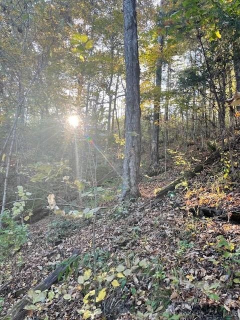 0 Brush Creek Rd, Fairview, TN 37062 - photo 5