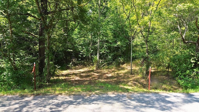 0 Brush Creek Rd, Fairview, TN 37062 - photo 4