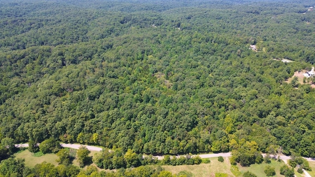 0 Brush Creek Rd, Fairview, TN 37062 - photo 2
