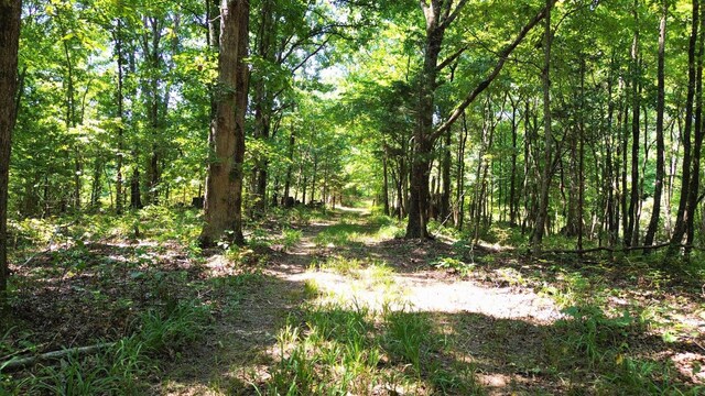 0 Brush Creek Rd, Fairview, TN 37062 - photo 8