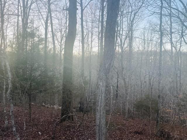 0 Brush Creek Rd, Fairview, TN 37062 - photo 9