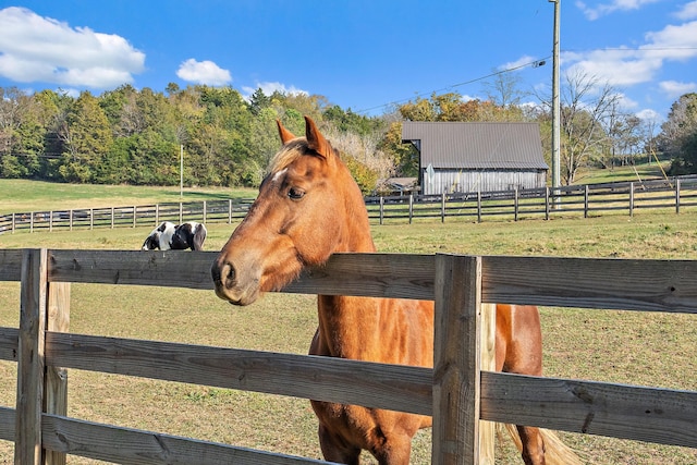 6923 Cross Keys Rd, College Grove, TN 37046 - view of stable with a rural view