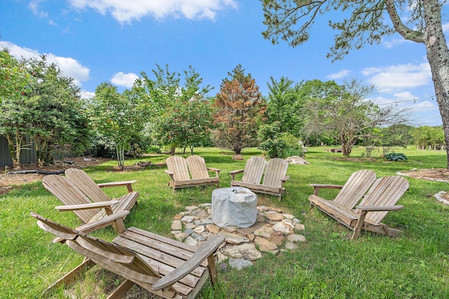 6923 Cross Keys Rd, College Grove, TN 37046 - view of yard