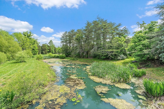 6923 Cross Keys Rd, College Grove, TN 37046 - view of local wilderness