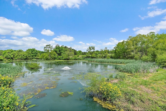 6923 Cross Keys Rd, College Grove, TN 37046 - property view of water featuring a wooded view