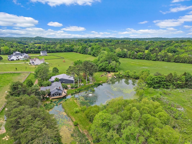 6923 Cross Keys Rd, College Grove, TN 37046 - aerial view with a wooded view, a water view, and a rural view