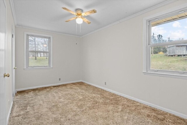 unfurnished room featuring a wealth of natural light, crown molding, a ceiling fan, and carpet floors