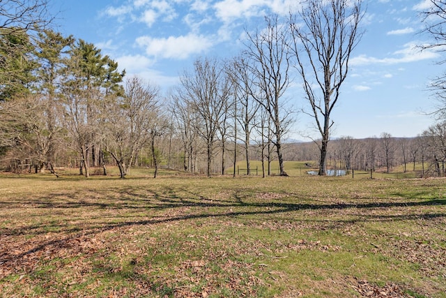 view of yard with a forest view