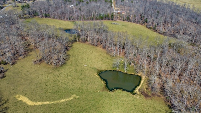drone / aerial view with a water view and a wooded view