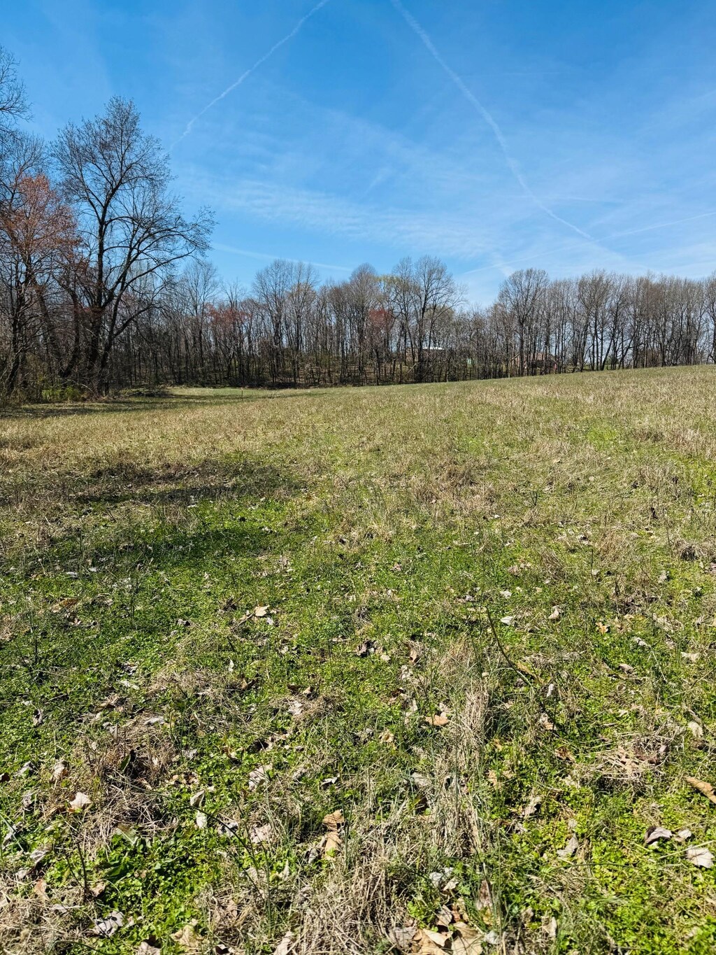 5096 White Springs Ln, Lafayette, TN 37083