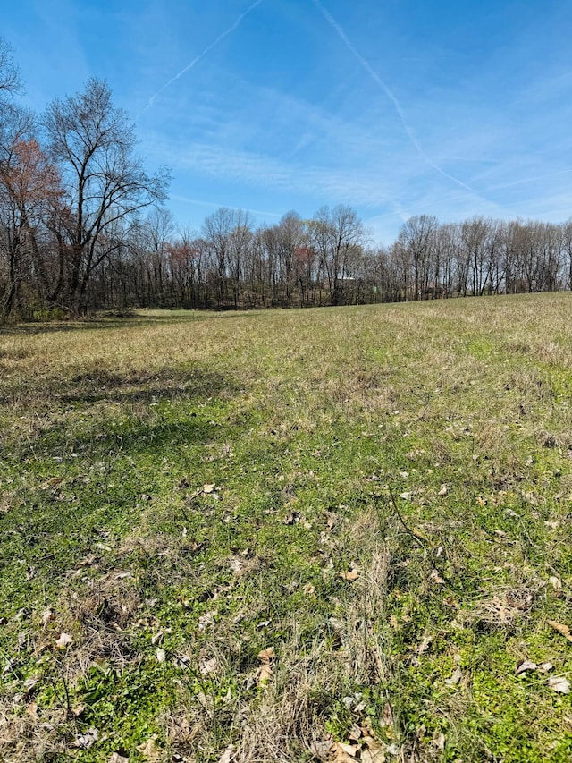 5096 White Springs Ln, Lafayette, TN 37083