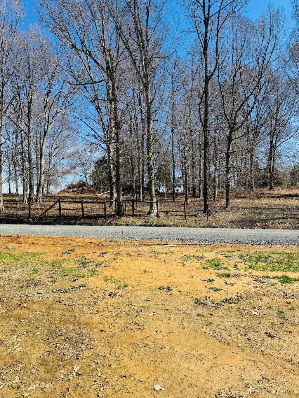 5096 White Springs Ln, Lafayette, TN 37083