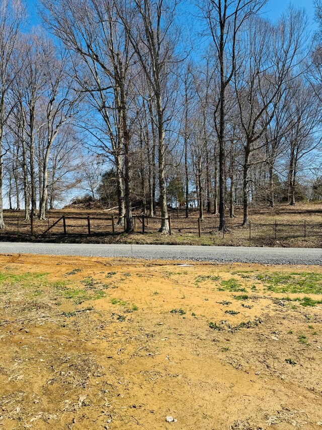5096 White Springs Ln, Lafayette, TN 37083
