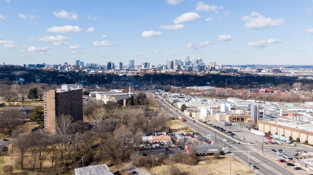 aerial view with a city view