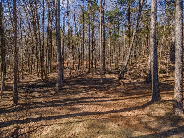 118 Long Rd, Charlotte, TN 37036 - photo 28