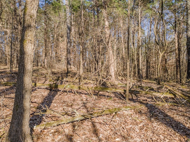 118 Long Rd, Charlotte, TN 37036 - photo 34
