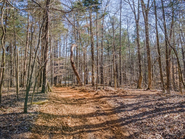 118 Long Rd, Charlotte, TN 37036 - photo 35