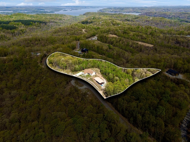 drone / aerial view featuring a view of trees