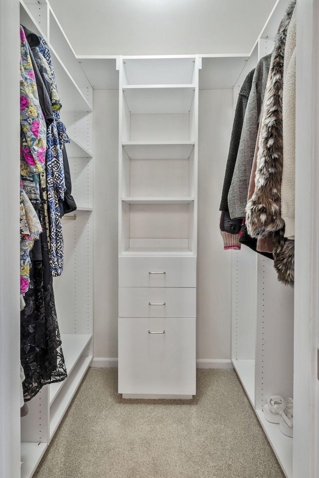 walk in closet featuring carpet flooring