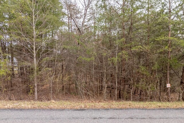31 Goodstock Rd, Crossville, TN 38555 - photo 4