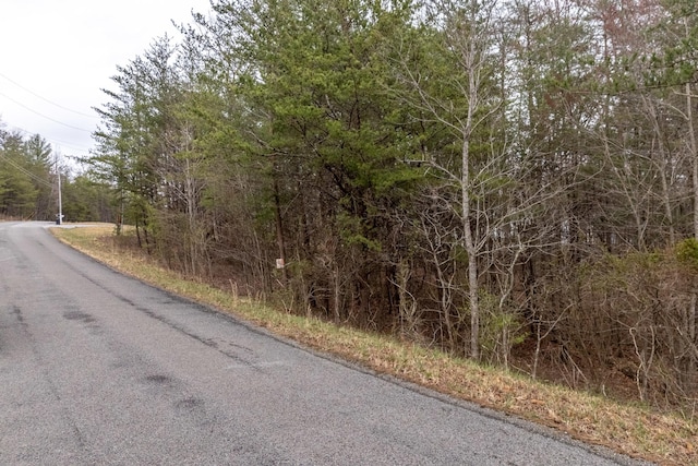 31 Goodstock Rd, Crossville, TN 38555 - photo 3