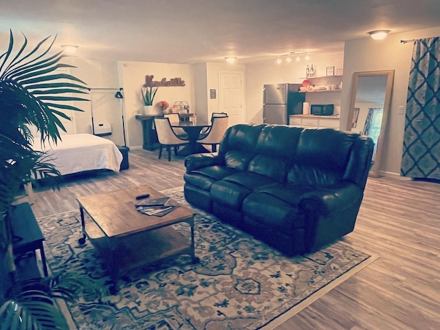 living room featuring wood finished floors