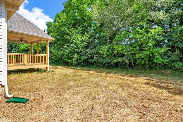 1249 Elizabeth Ln, Clarksville, TN 37042 - photo 34
