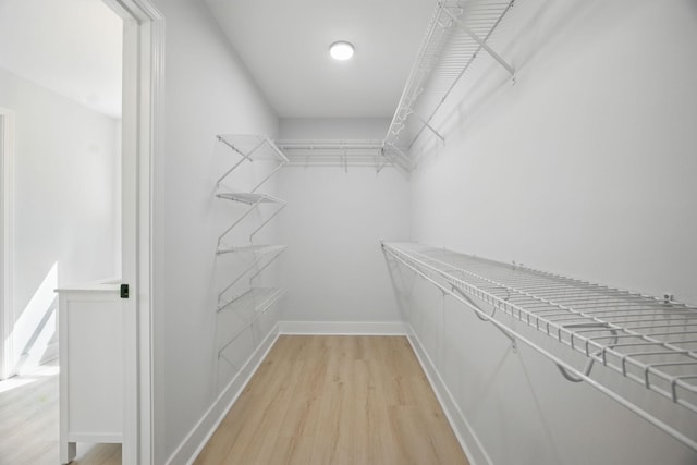 walk in closet with light wood-style flooring
