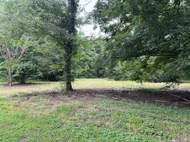 502 Twomey Rd, Centerville, TN 37033 - view of yard with a view of trees