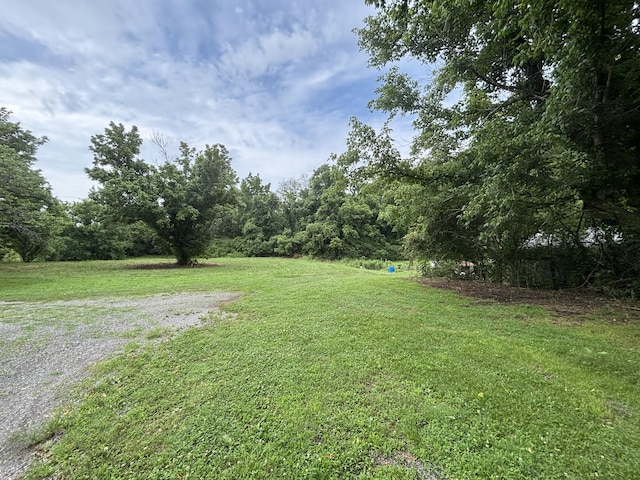 502 Twomey Rd, Centerville, TN 37033 - view of grassy yard with a forest view