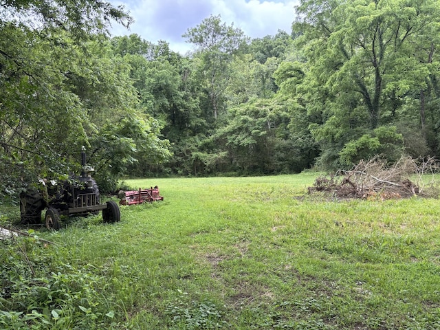 502 Twomey Rd, Centerville, TN 37033 - view of yard featuring a forest view