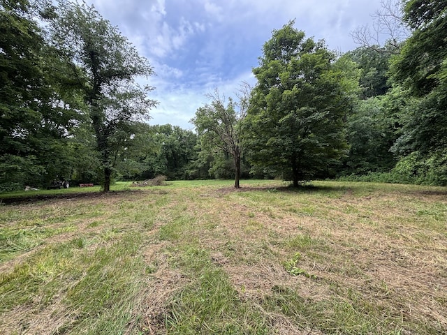 502 Twomey Rd, Centerville, TN 37033 - view of yard featuring a forest view