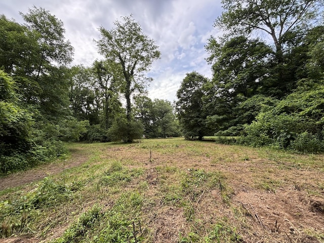 502 Twomey Rd, Centerville, TN 37033 - view of wooded area