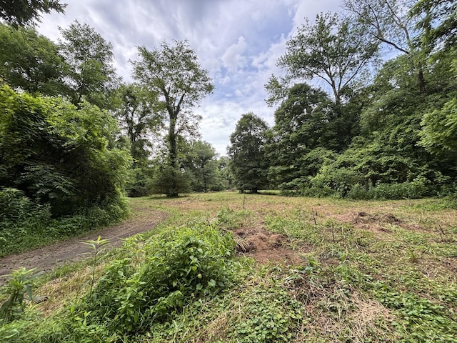 502 Twomey Rd, Centerville, TN 37033 - view of wooded area