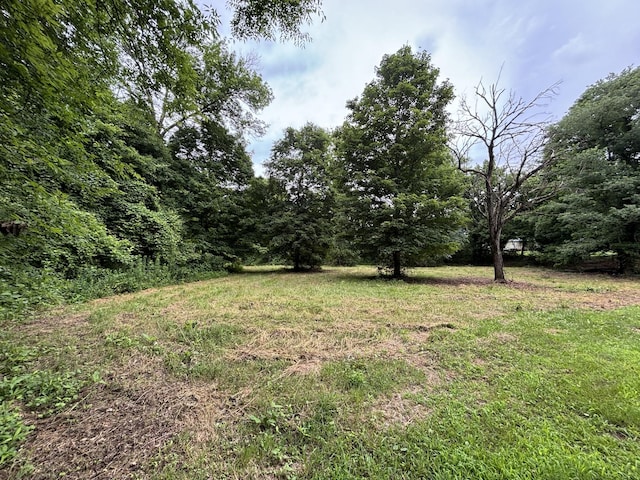 502 Twomey Rd, Centerville, TN 37033 - view of yard