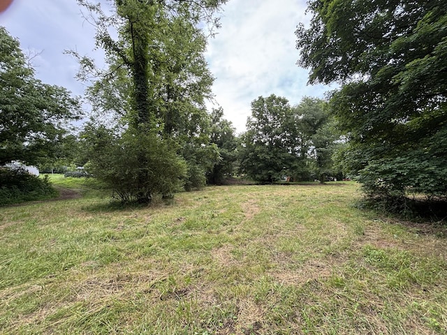 502 Twomey Rd, Centerville, TN 37033 - view of yard