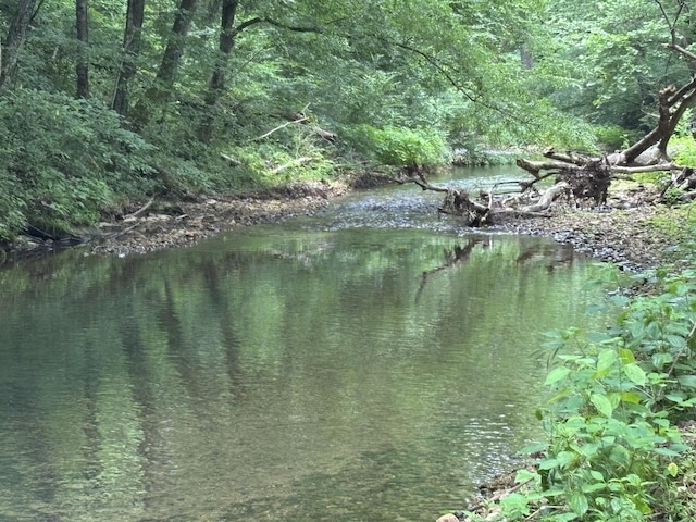 502 Twomey Rd, Centerville, TN 37033 - water view