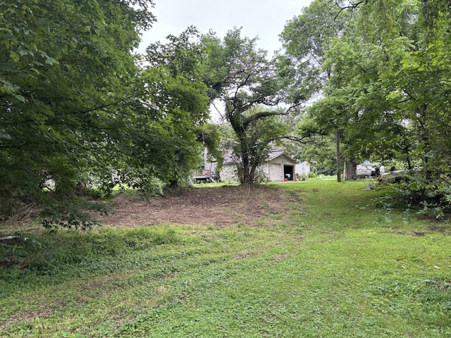 502 Twomey Rd, Centerville, TN 37033 - view of yard