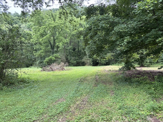 502 Twomey Rd, Centerville, TN 37033 - view of yard featuring a forest view