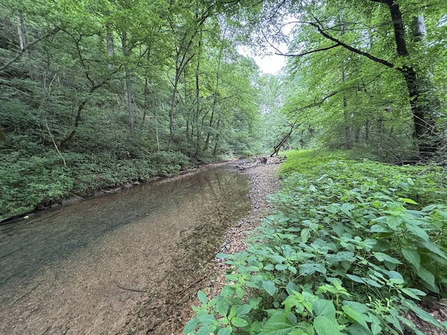 502 Twomey Rd, Centerville, TN 37033 - view of woods
