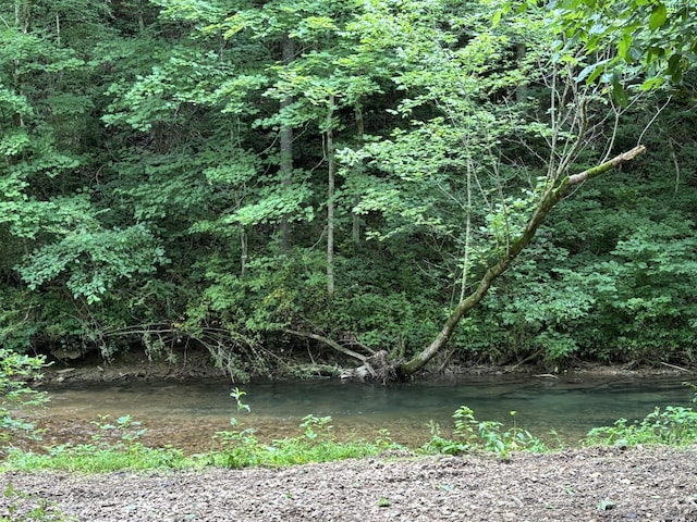 502 Twomey Rd, Centerville, TN 37033 - view of local wilderness