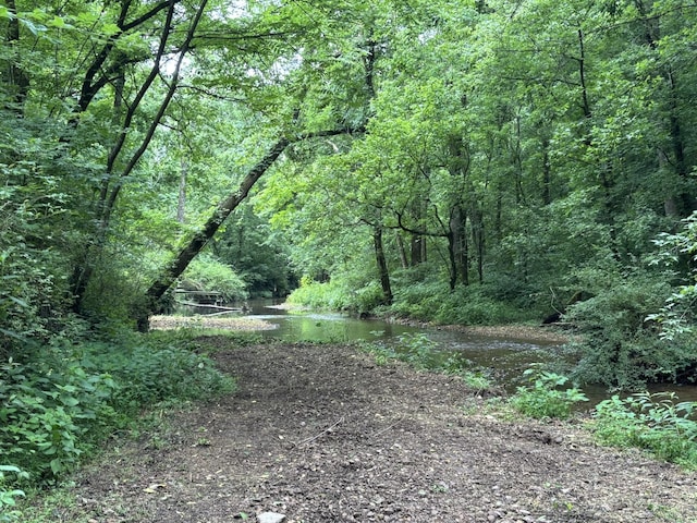 502 Twomey Rd, Centerville, TN 37033 - view of wooded area