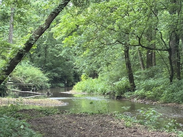 502 Twomey Rd, Centerville, TN 37033 - view of yard featuring a wooded view